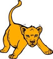 drawn bay lion