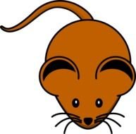Brown Mouse Clip Art N7