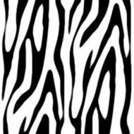Zebra Print N2