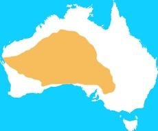 map of Australia for kids