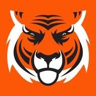 Bengal Tiger Face drawing