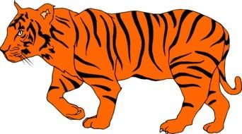 orange tiger as a graphic illustration