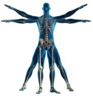 Physical Therapy