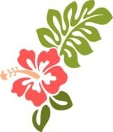 Coral Hibiscus Clip Art