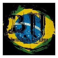 Brazilian Jiu Jitsu