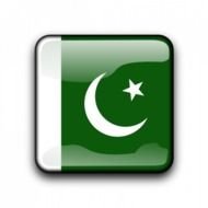 Bandiera Del Vettore Pakistan Allinterno Di Forma Quadrata