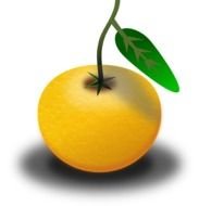 Orange Fruit Clip Art N20