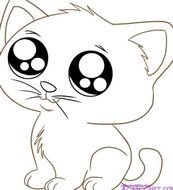 How To Draw Cute Cartoon Cat Drawings