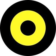 Flag Country Guyana Colors Roundel Color N2
