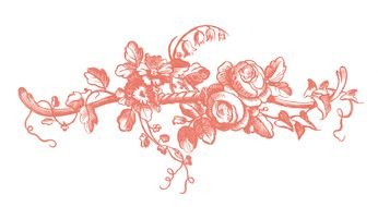 pink Vintage Rose Clip Art drawing