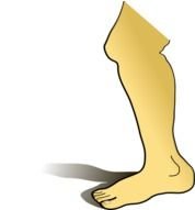 Golden cartoon leg clipart