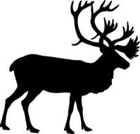 Deer Head Silhouette drawing