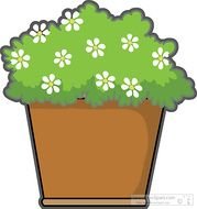 Download Flowers In Planter Box