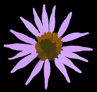 Echinacea Clr Bk Xcol R Clip Art