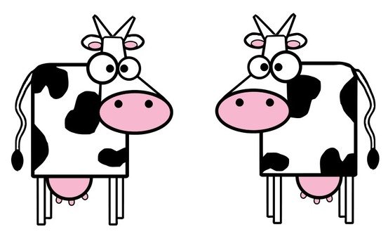 cartoon square cows