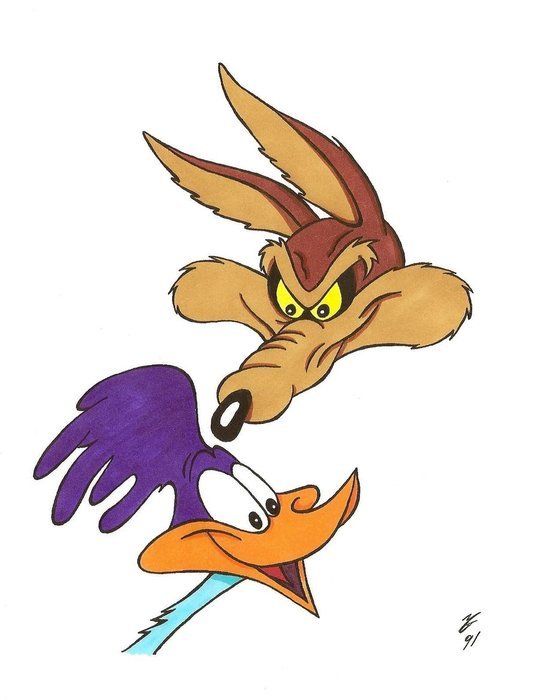 Wile E Coyote And Road Runner