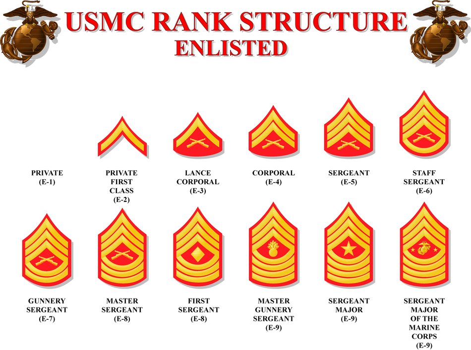 Insignia of army ranks free image download