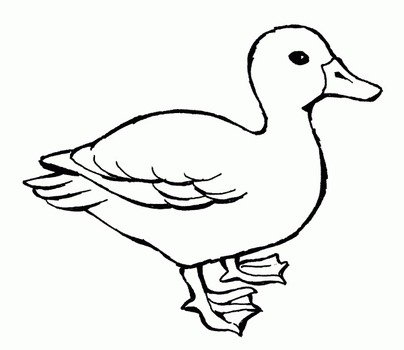 Duck Coloring Pages