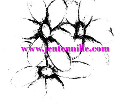 Black And White Daisy Clip Art N4