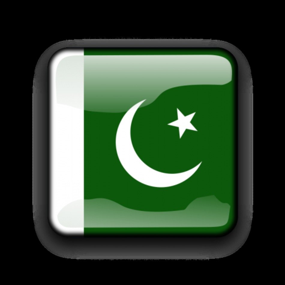 Bandiera Del Vettore Pakistan Allinterno Di Forma Quadrata