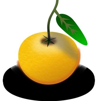 Orange Fruit Clip Art N20