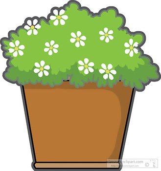 Download Flowers In Planter Box