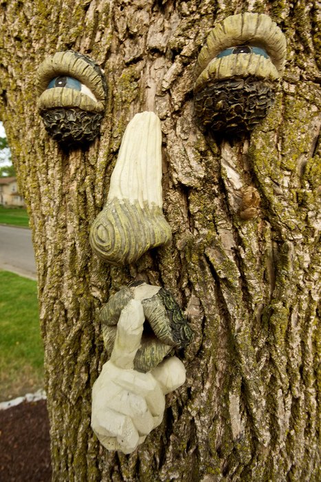 decorative tree calling for silence