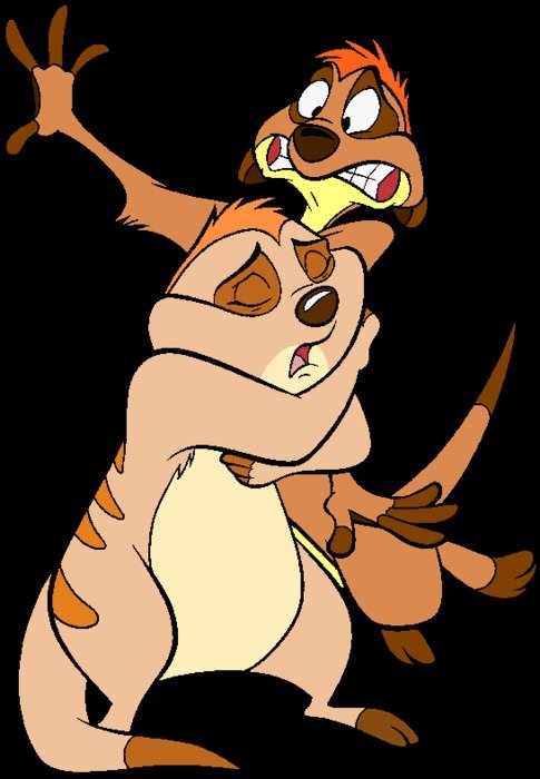 Timon Lion King N2