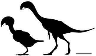Black silhouettes of bird and Dinosaur