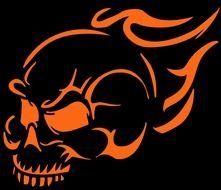 Flaming Skulls N2