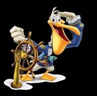 Day 4 Pelican Gif