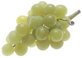 Green large grapes clipart