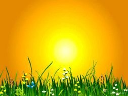 bright sun over a summer meadow as a graphic image
