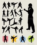 Karate Kick Silhouette N2