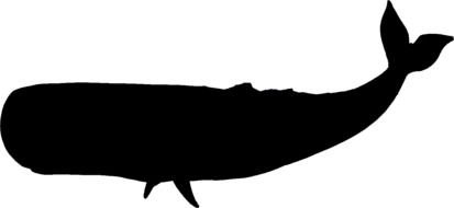 Whale Silhouette drawing