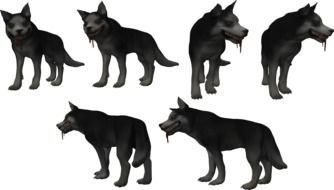 dogs as graphic elements for a clipart