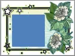 frame with stars and flowers