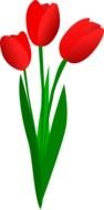 Tulip Clip Art drawing