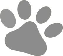 Pet Paw Clip Art N2