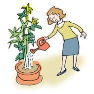 Household Chores Clip Art N4