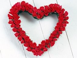 Valentines Day Red Roses drawing