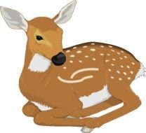 bambi as graphic illustration