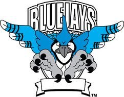 Blue Jay Logo Clip Art