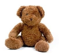 Cute soft Teddy Bear
