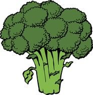 Broccoli tree drawing