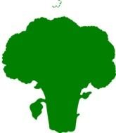 Broccoli Clip Art N10