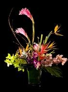 Tropical Flower Arrangements drawing