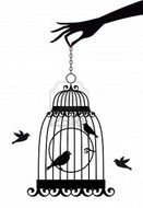 Bird Cage Drawing Tumblr