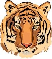 Beautiful and colorful drawing of the tiger clipart