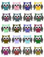 clipart of little owls of different colors